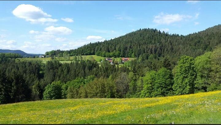 Haus Wander-lust Apartment Lauterbach (Baden-Wurttemberg)